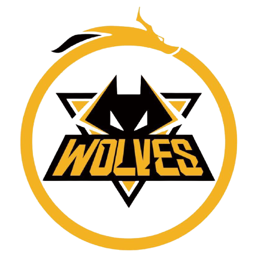 名门将什琴 名门将什琴