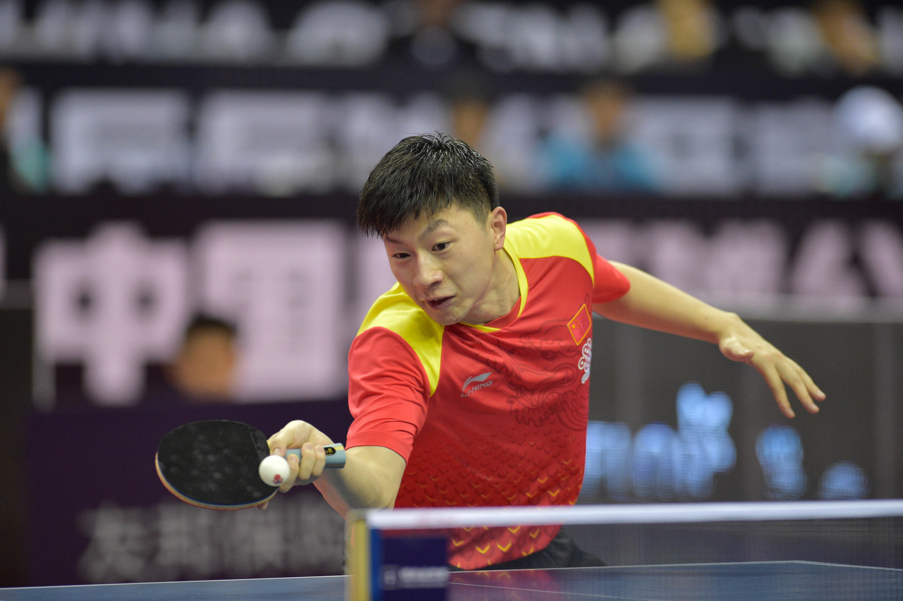 他们不得不 他们不得不