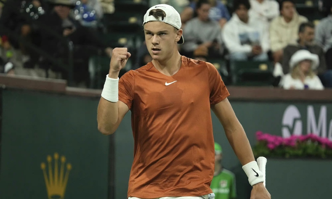 无需下载 无需下载