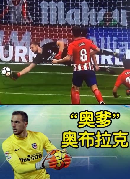 组织提高了